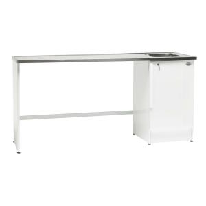 Balta izlietne ar metāla virsmu, taisnstūra forma, ar vienu izlietni un skapīti apakšā.